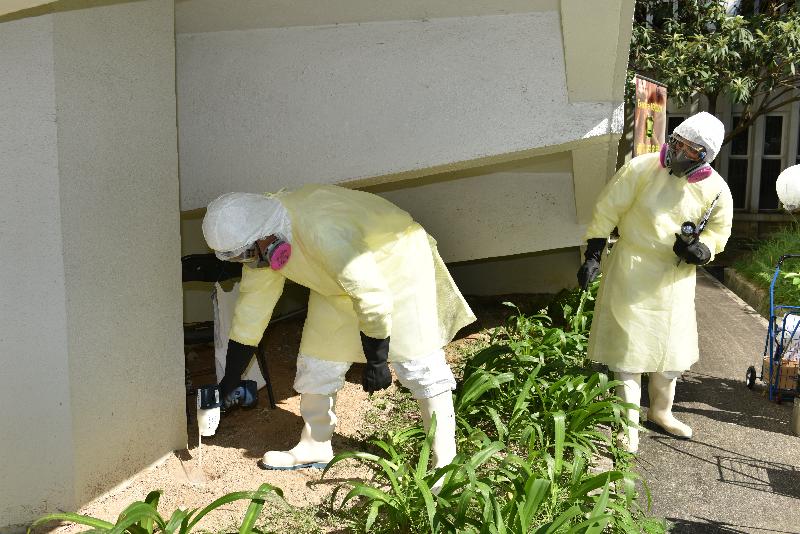 Exercise PERIDOT tests Government response to outbreak of plague (3)(4) During the exercise, officers of the FEHD search for rat holes near the confirmed case's residence.
