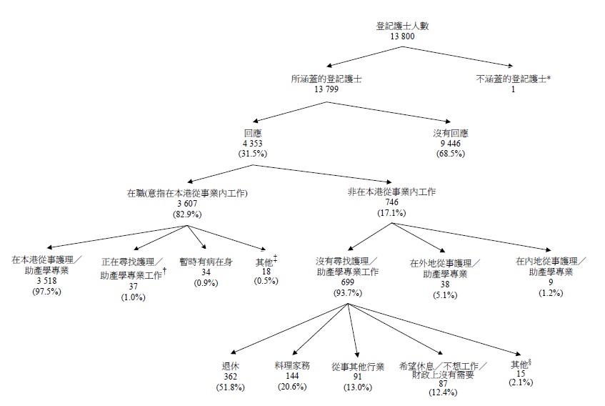 图甲:所涵盖登记护士的经济活动身分