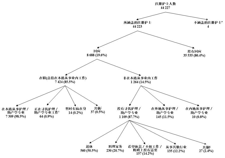 图甲: 所涵盖注册护士的经济活动身分