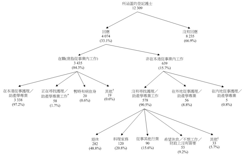 统计图标题：所涵盖的登记护士的经济活动身分