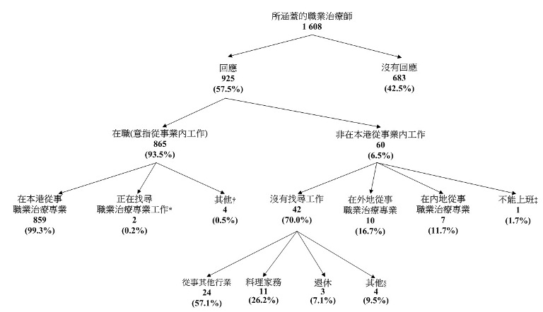 统计图标题:图甲:所涵盖职业治疗师的经济活动身分