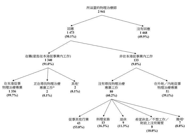 图甲:所涵盖物理治疗师的经济活动身分