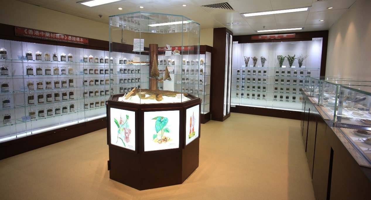 This photo demonstrates Chinese Medicines Herbarium in the Government Chinese Medicines Testing Institute