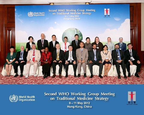 Participants in the WHO Working Group Meeting on Traditional Medicine Strategy.
