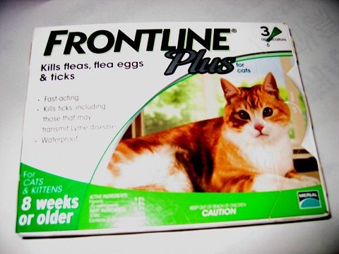 Frontline Plus for Cats