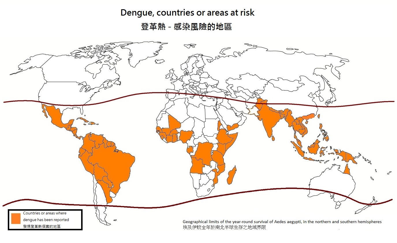 登革熱是一種由登革熱病毒引起的急性傳染病，常見於熱帶及亞熱帶地區，並多於城市地區發生。