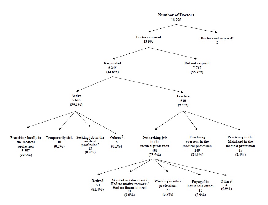 Chart A : Activity Status of Doctors Covered