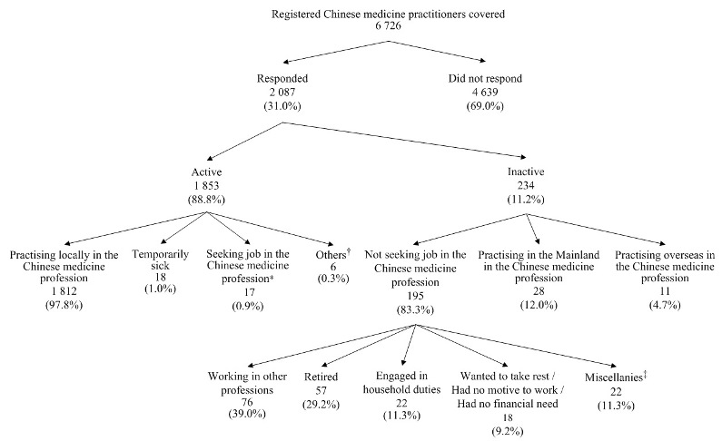 Chart A :	Activity Status of Registered Chinese Medicine Practitioners Covered