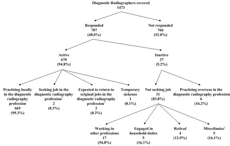 Of the 1 473 diagnostic radiographers covered, 707 (48.0%) had responded to the survey, while the remaining 766 (52.0%) had not responded.  Among the respondents, 670 (94.8%)were active in the local diagnostic radiography profession whereas 37 (5.2%) reported to be inactive in the local diagnostic radiography profession.



Among the 670 active diagnostic radiographers, 665 (99.3%) were practising in the local diagnostic radiography profession, two (0.3%) (a) was not practising in the diagnostic radiography profession in Hong Kong during the survey period; (b) had been available for work during the seven days before the survey; and (c) had sought work in the diagnostic radiography profession during the 30 days before the survey, two (0.3%) (a) were not practising in the diagnostic radiography profession in Hong Kong during the survey period; (b) had been available for work during the seven days before the survey; and (c) were expected to return to original jobs in the  diagnostic radiography profession during the 30 days before the survey, and the remaining one (0.1%) reported having temporary sickness.

 

Of the 37 inactive diagnostic radiographers, 31 (83.8%) reported not practising in the diagnostic radiography profession in Hong Kong and not seeking job in the diagnostic radiography profession during the 30 days before the survey and six (16.2%) reported practising overseas.



Of the 31 inactive diagnostic radiographers, 17 (54.8%) were working in other professions, five (16.1%) were engaged in household duties, four (12.9%) were retired and the remaining five (16.1%)* had other reasons for being inactive.





Note:

* Figure refers to the number of responding optometrists who reported undertaking studies, wanted to take rest/having no motive to work/having no financial need, etc.

Percentages may not add up to 100% due to rounding.

