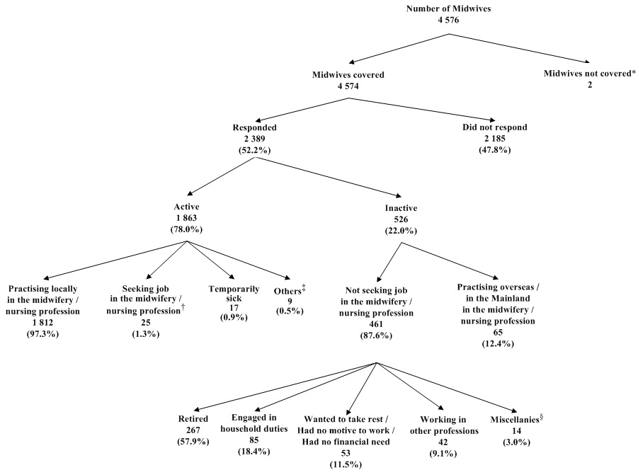 Chart A : Activity Status of Midwives Covered