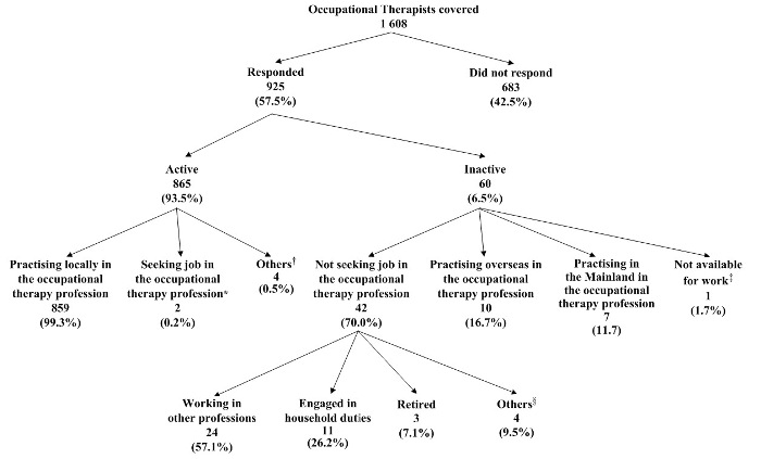 Chart title: Chart A: Activity Status of Occupational Therapists Covered