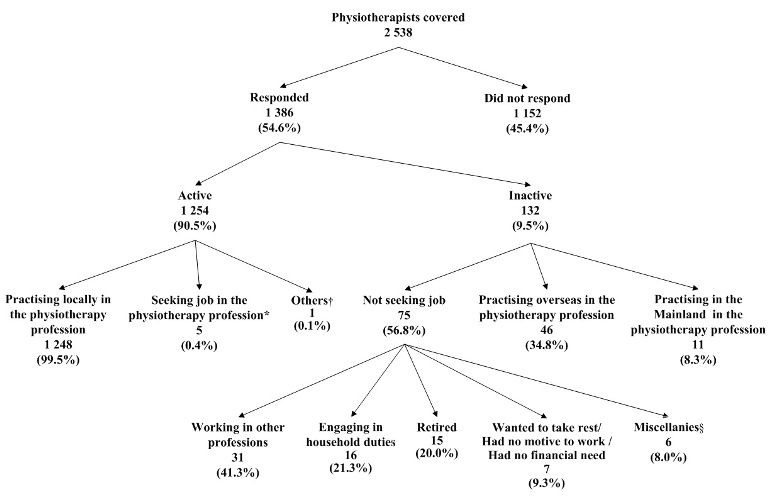 Chart title: Activity Status of Physiotherapists Covered