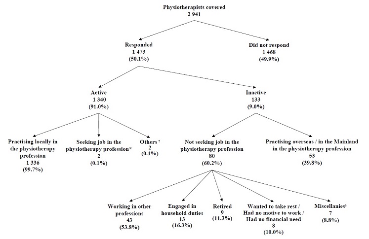 Chart A :	Activity Status of Physiotherapists Covered