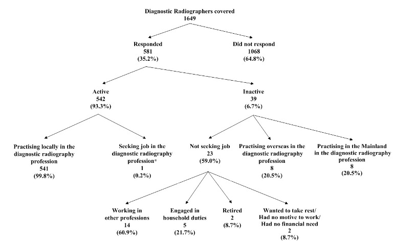 Chart title: Activity Status of Diagnostic Radiographers Covered