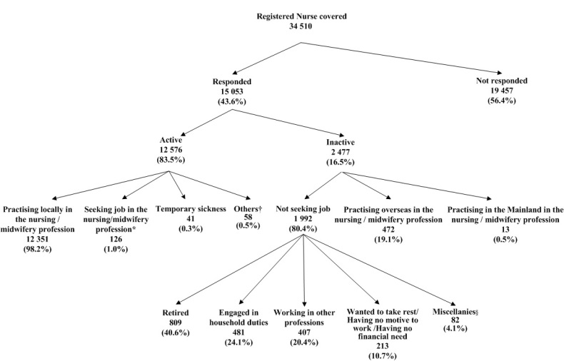 Chart title: Activity Status of Registered Nurses Covered