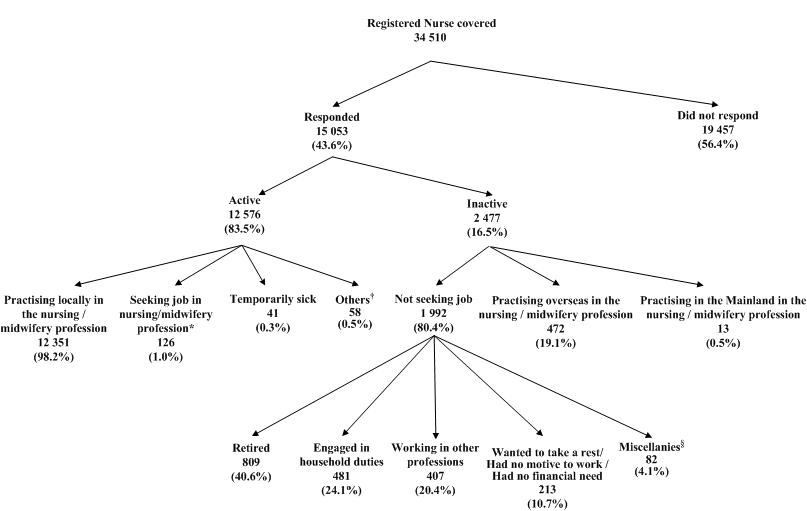 Chart title: Activity Status of Registered Nurses Covered