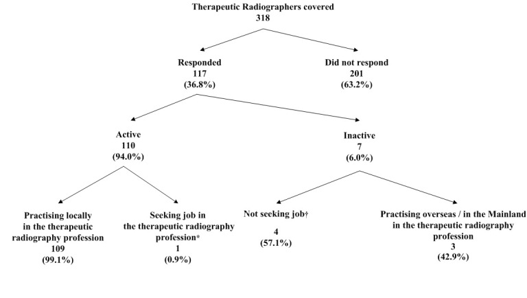 Chart title: Activity Status of Therapeutic Radiographers Covered