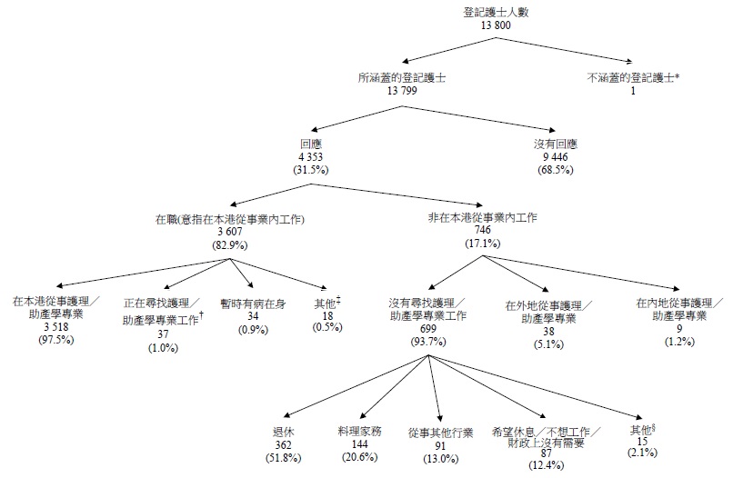 所涵蓋登記護士的經濟活動身分