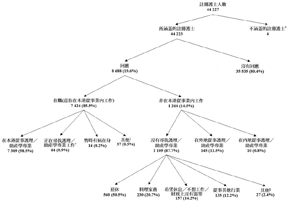所涵蓋註冊護士的經濟活動身分