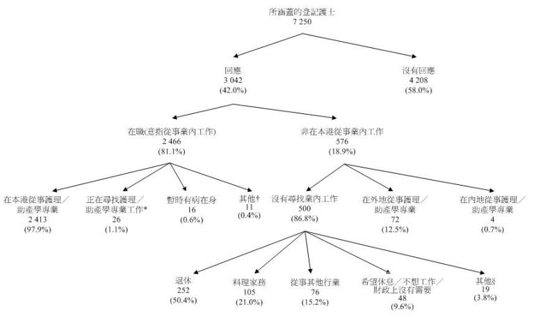 統計圖標題：所涵蓋的登記護士的經濟活動身分