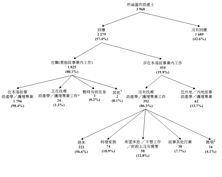 統計圖標題:圖甲:所涵蓋助產士的經濟活動身分