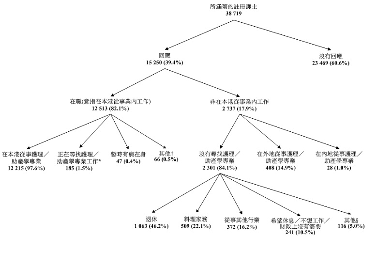 圖甲:所涵蓋註冊護士的經濟活動身分 圖甲:所涵蓋註冊護士的經濟活動身分